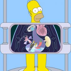 Radiografia Homer